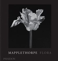 MAPPLETHORPE FLORA