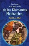 CAM JANSEN Y EL MISTERIO DE LOS DIAMANTES ROBADOS